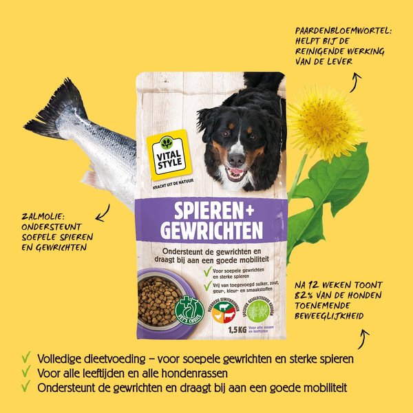 hond-spieren-gewrichten-packshot