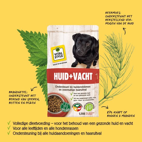 huid-vacht-packshot